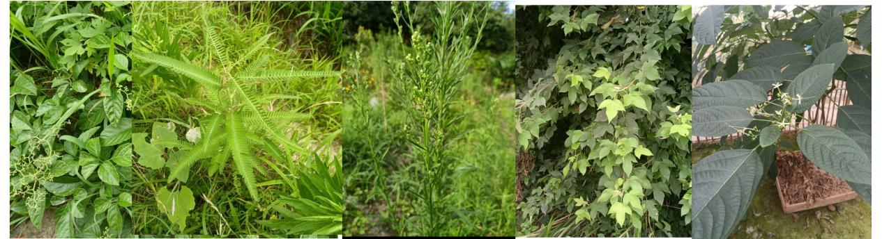 6113313AE94BC0695F3C3E4095423C9D 6113313AE94BC0695F3C3E4095423C9D